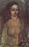 Amedeo Modigliani Jeune fille nue (mk38) France oil painting artist